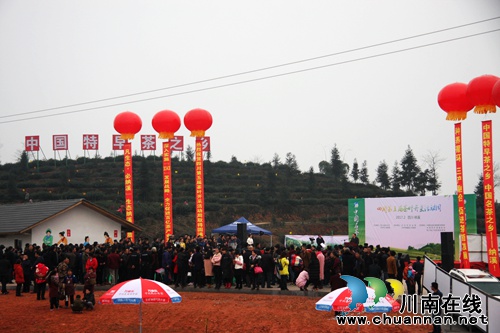 四川第五届茶叶开采活动周在纳溪隆重开幕(图2) 四川第五届茶叶开采活动周在纳溪隆重开幕(图2)