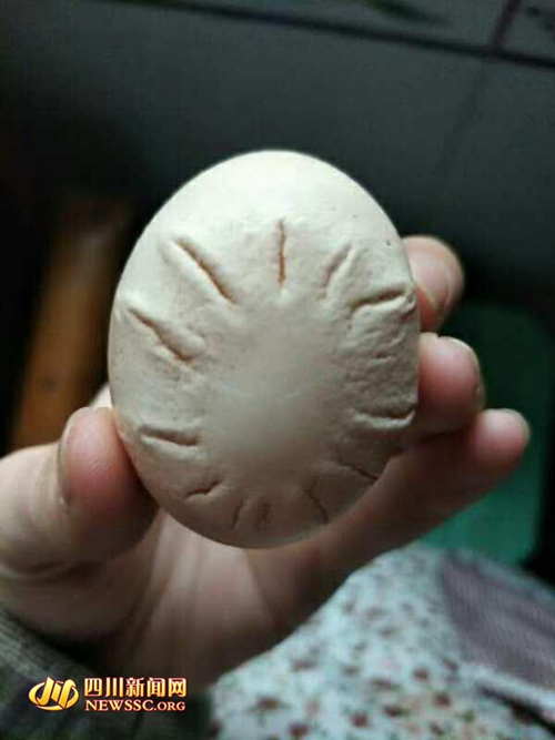 泸州惊现“哈雷彗星蛋”？&nbsp;专家称：畸形蛋！(图1)