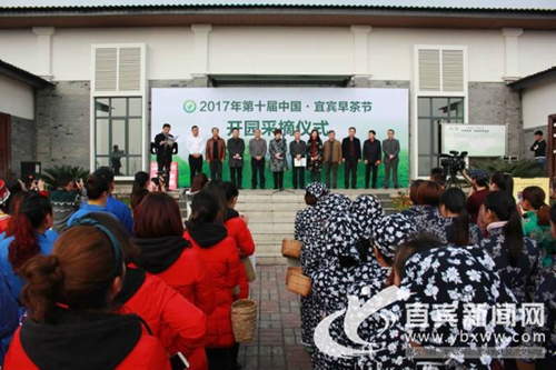 宜宾早茶开园采摘 29家茶企发出“全球宣言”(图1) 宜宾早茶开园采摘 29家茶企发出“全球宣言”(图1)