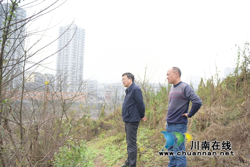 陈景强唐杰率队调研叙永县学前教育发展(图2)