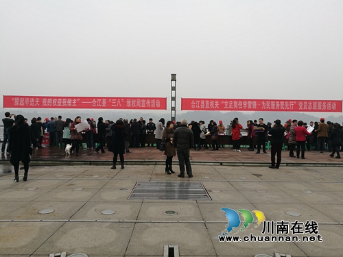 合江县开展消费维权宣传和学雷锋党员志愿服务活动(图2)