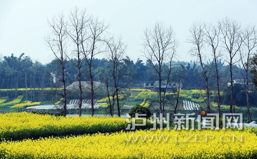 32枚增雨火箭弹上天 泸州空气一夜“小清新”(图1) 32枚增雨火箭弹上天 泸州空气一夜“小清新”(图1)