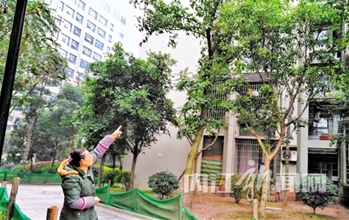 内江女子疑因产后抑郁 爬到5楼窗外欲轻生(图2) 内江女子疑因产后抑郁 爬到5楼窗外欲轻生(图2)