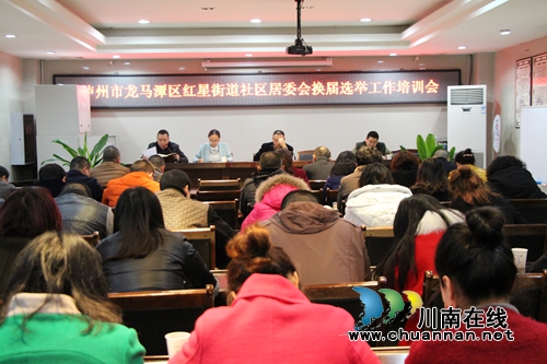 龙马潭区红星街道召开社区居委会换届选举工作培训会(图1)