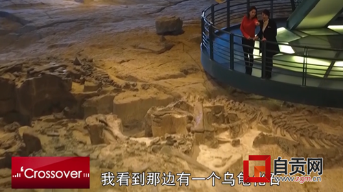 恐龙馆短片在CGTN播放 助推自贡恐龙走向世界(图1) 恐龙馆短片在CGTN播放 助推自贡恐龙走向世界(图1)