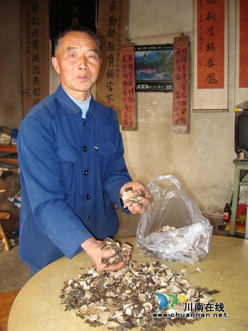 52载治疗上万人 纳溪退休教师担心中医绝技失传(图1) 52载治疗上万人 纳溪退休教师担心中医绝技失传(图1)