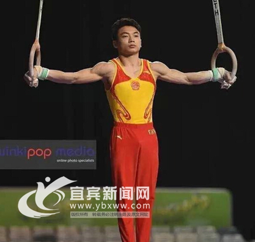 2金1银!宜宾“小邹凯”称雄体操世界杯(图1) 2金1银!宜宾“小邹凯”称雄体操世界杯(图1)