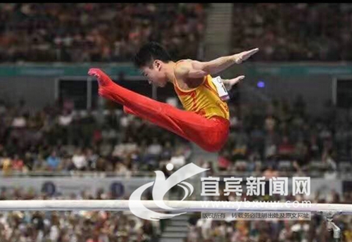 2金1银!宜宾“小邹凯”称雄体操世界杯(图3) 2金1银!宜宾“小邹凯”称雄体操世界杯(图3)