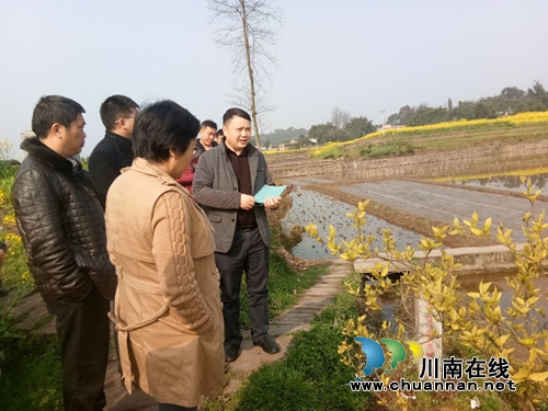 合江县永久基本农田划定工作通过市级初验(图1)