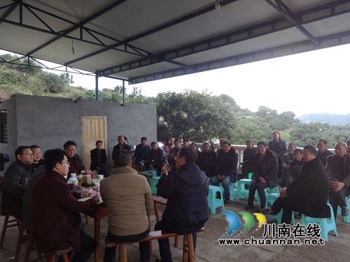 农业部考察合江虎头镇荔枝试验示范基地(图1)