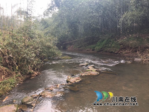 泸州合江:发现罕见1米长野生娃娃鱼 众人放生(图10) 泸州合江:发现罕见1米长野生娃娃鱼 众人放生(图10)