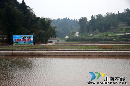 泸州市土地整治业务培训会在纳溪区召开(图10) 泸州市土地整治业务培训会在纳溪区召开(图10)