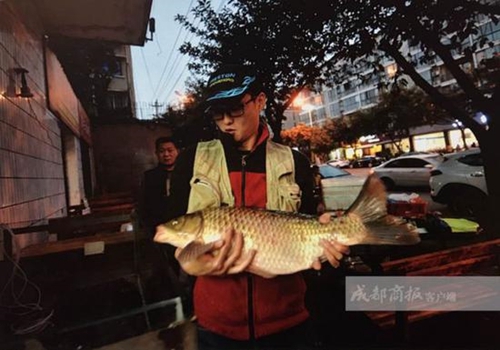 罕见!男子夜钓钓了条巨无霸 9斤半鲫鱼半米长(图1) 罕见!男子夜钓钓了条巨无霸 9斤半鲫鱼半米长(图1)