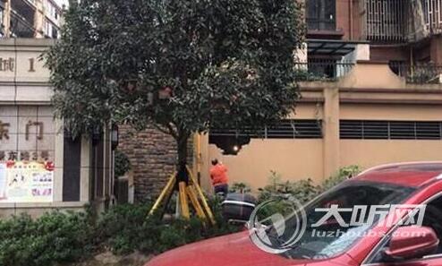 泸州：小区业主搭违建被制止&nbsp;&nbsp;一气之下砸了墙(图1)