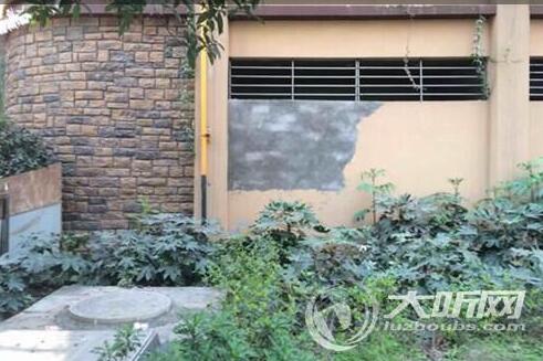 泸州：小区业主搭违建被制止&nbsp;&nbsp;一气之下砸了墙(图2)