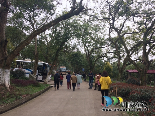 泸县太伏:“四名”打造全国乡村旅游示范点(图5) 泸县太伏:“四名”打造全国乡村旅游示范点(图5)