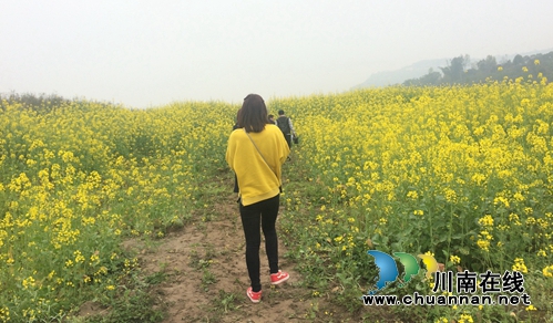 泸县太伏:“四名”打造全国乡村旅游示范点(图6) 泸县太伏:“四名”打造全国乡村旅游示范点(图6)