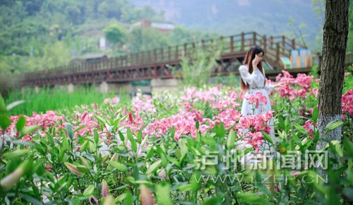 泸州市长刘强向全国推荐泸州特色小镇 美呆了!(图6) 泸州市长刘强向全国推荐泸州特色小镇 美呆了!(图6)