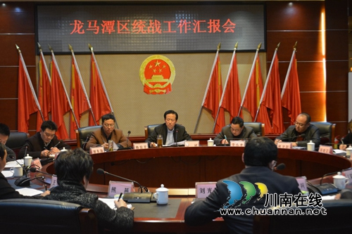 市委常委、统战部长徐斌调研龙马潭区统战工作(图1)