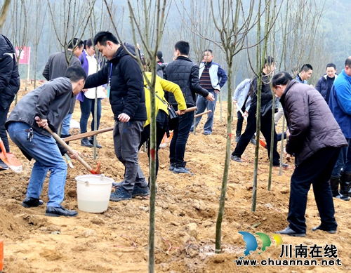 龙马潭区组织机关干部职工开展义务植树活动(图4)