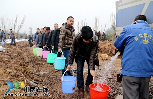 龙马潭区组织机关干部职工开展义务植树活动(图5)