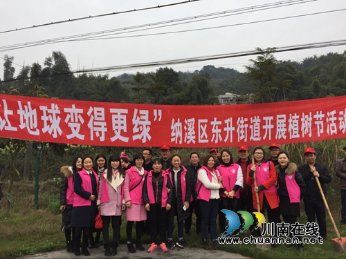 纳溪东升街道：种下愿望树&nbsp;结出希望果(图1)
