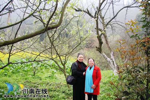 泸州第十四届诗会暨第六届梨花诗会在丹林举行(图3) 泸州第十四届诗会暨第六届梨花诗会在丹林举行(图3)