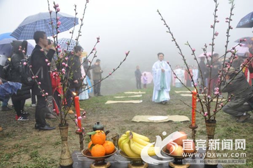 花朝节&nbsp;宜宾汉文化爱好者在七星山“祭花神”(图1)