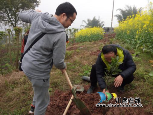 泸州茜草街道:机关干部职工异地植树增强凝聚力(图2) 泸州茜草街道:机关干部职工异地植树增强凝聚力(图2)