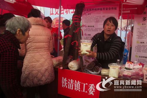 三生三世桃花开&nbsp;宜宾江安铁清镇桃花节办19天(图3)