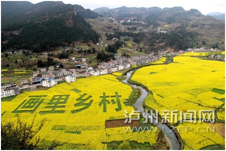 古蔺双沙第十届菜花旅游文化开放月盛大启幕(图1) 古蔺双沙第十届菜花旅游文化开放月盛大启幕(图1)