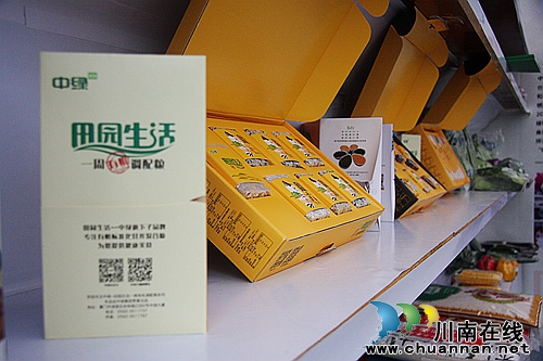 四川省首个农旅特色小镇“寨水一方”正式动工(图21) 四川省首个农旅特色小镇“寨水一方”正式动工(图21)