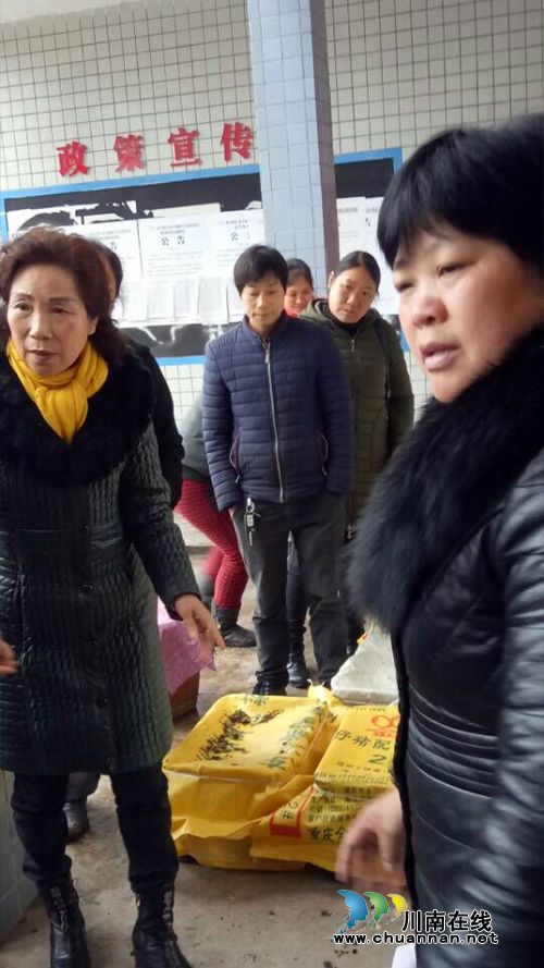 合江白鹿:入村教技术送鸡苗 党员情暖贫困户(图1) 合江白鹿:入村教技术送鸡苗 党员情暖贫困户(图1)