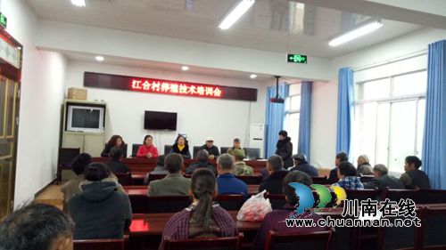 合江白鹿:入村教技术送鸡苗 党员情暖贫困户(图3) 合江白鹿:入村教技术送鸡苗 党员情暖贫困户(图3)