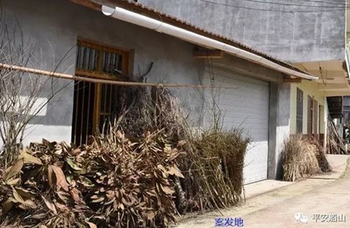 四川:两男子喝酒“杠”起了 一人掏枪打死对方(图2) 四川:两男子喝酒“杠”起了 一人掏枪打死对方(图2)