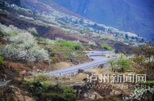 十里公路十里花 泸州又多一条最美乡村公路(图1) 十里公路十里花 泸州又多一条最美乡村公路(图1)