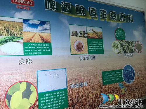 青岛啤酒在泸州建成首条易拉罐啤酒生产线(图11) 青岛啤酒在泸州建成首条易拉罐啤酒生产线(图11)
