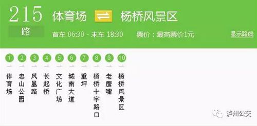 清明节 泸州公交加密发班助市民便捷扫墓(图1) 清明节 泸州公交加密发班助市民便捷扫墓(图1)