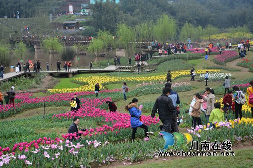 三八节期间 纳溪花田酒地景区迎来游客小高峰(图1) 三八节期间 纳溪花田酒地景区迎来游客小高峰(图1)