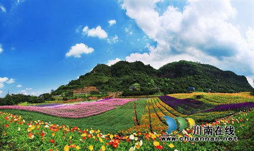 三八节期间 纳溪花田酒地景区迎来游客小高峰(图3) 三八节期间 纳溪花田酒地景区迎来游客小高峰(图3)