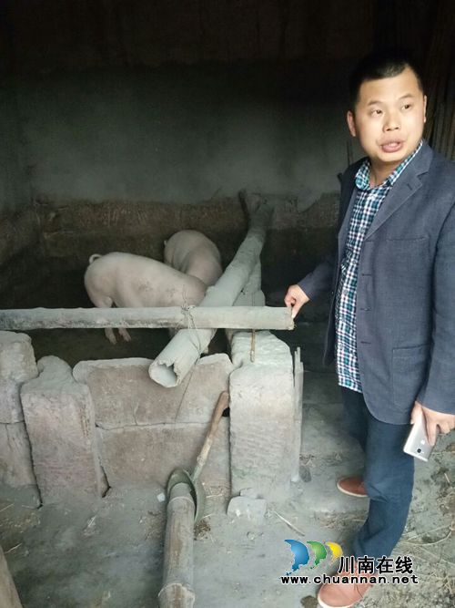龙马潭区胡市镇开展精准扶贫实施项目大督查(图2)