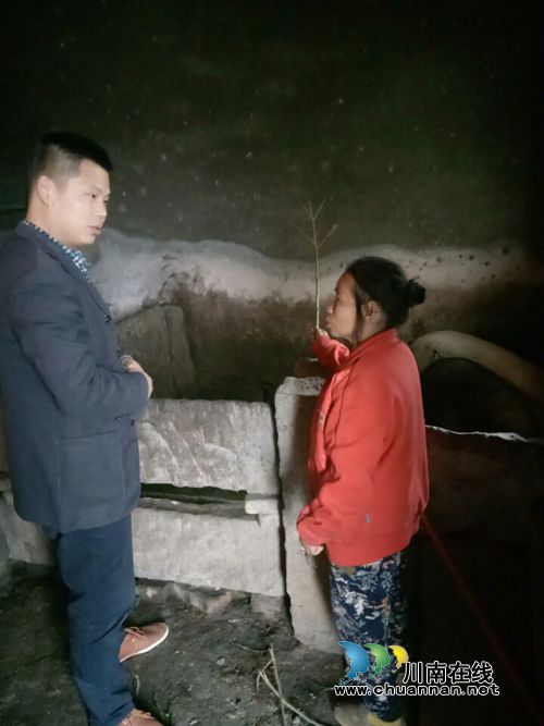 龙马潭区胡市镇开展精准扶贫实施项目大督查(图1)