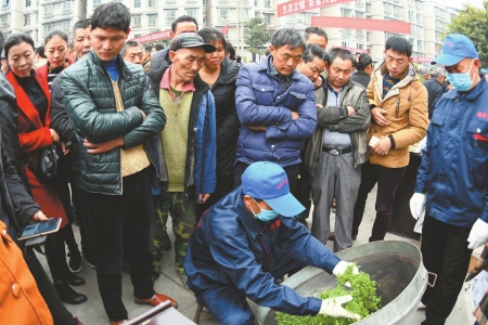 三两春茶卖出9800元！自贡荣县茶文化节开幕(图2)