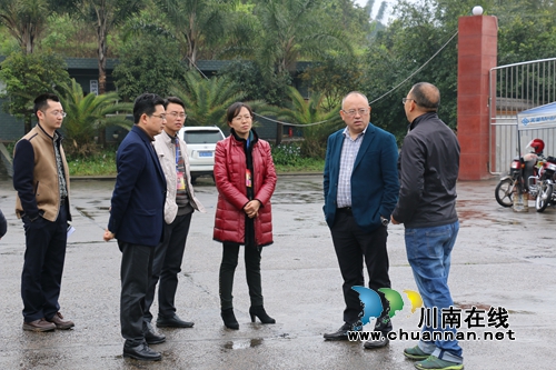 张文杰到泸县潮河镇督查安全生产工作(图2) 张文杰到泸县潮河镇督查安全生产工作(图2)