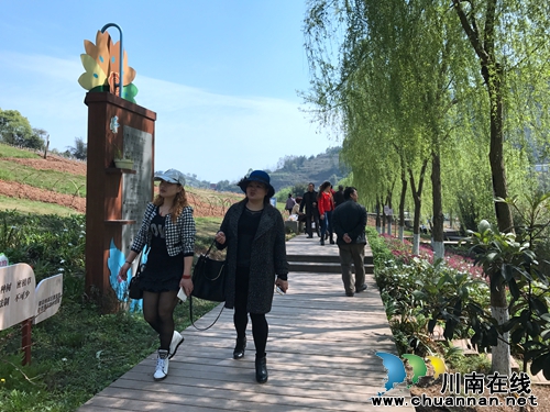中国美酒音乐欢乐季启动仪式在纳溪隆重举行(图24) 中国美酒音乐欢乐季启动仪式在纳溪隆重举行(图24)