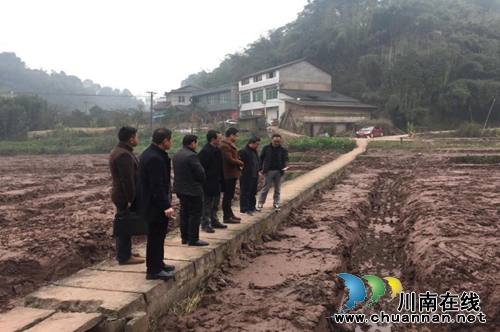明祖京:生态青蛙养出广阔天地 梦想返乡创辉煌(图11) 明祖京:生态青蛙养出广阔天地 梦想返乡创辉煌(图11)