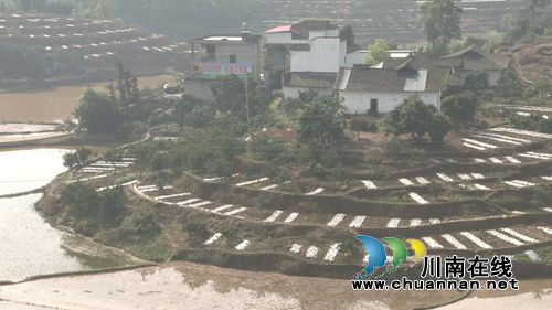 四川省乌蒙山片区脱贫攻坚推进会在合江召开(图10)