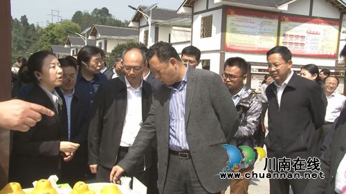 四川省乌蒙山片区脱贫攻坚推进会在合江召开(图16)