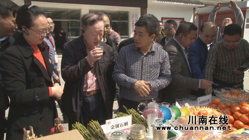 四川省乌蒙山片区脱贫攻坚推进会在合江召开(图14) 四川省乌蒙山片区脱贫攻坚推进会在合江召开(图14)