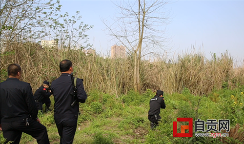 自贡“疯牛”发飙见人就冲 民警击毙除患(图1) 自贡“疯牛”发飙见人就冲 民警击毙除患(图1)